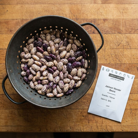 Jackson Wonder, Bean Seeds - Packet (1 oz.) image number null